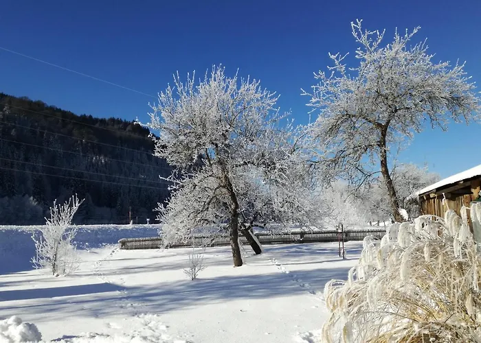 Gasthof Gruber فندق Wald am Schoberpass